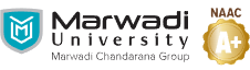 Marwadi University 